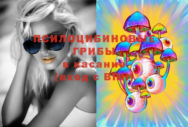 прущая мука Алзамай