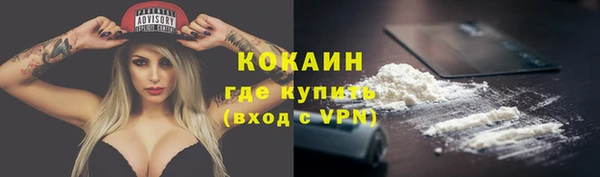 мяу мяу мука Алексеевка
