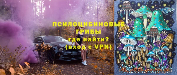 прущая мука Алзамай