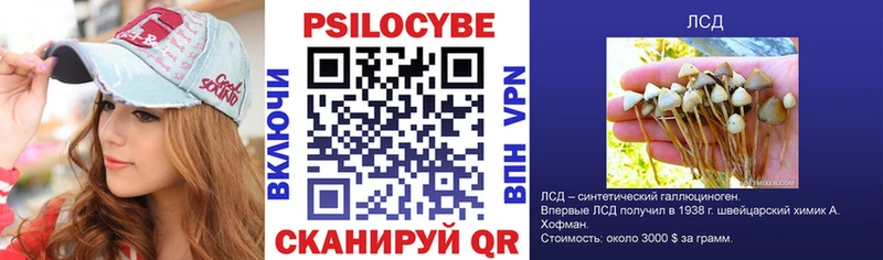 Галлюциногенные грибы Psilocybe  hydra ONION  Щигры  сколько стоит 